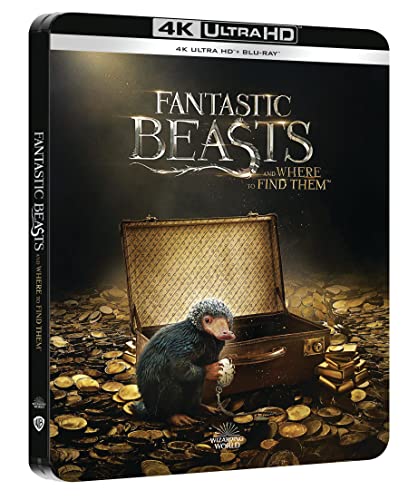 Les Animaux fantastiques Steelbook Blu-ray 4K Ultra HD